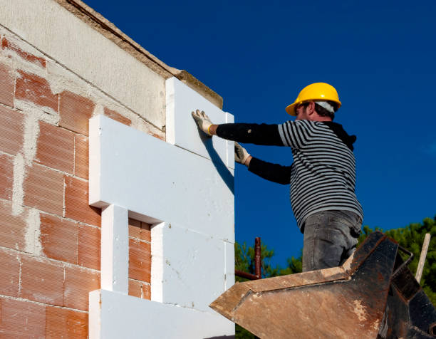 Best Geographic-Specific Insulation Services in Sughter, LA