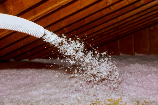 Best Blown-in Insulation in Sughter, LA