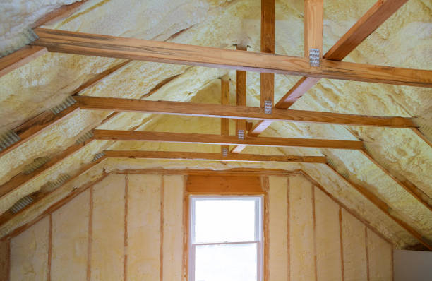 Best Spray Foam Insulation in Sughter, LA
