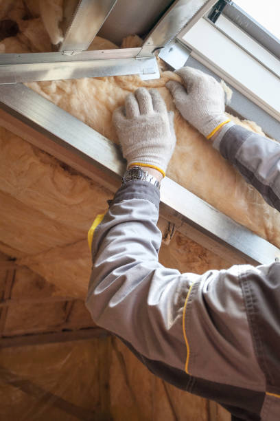 Best Eco-Friendly Insulation in Sughter, LA